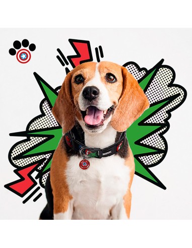 Collar Perro y gato de Marvel ajustable al cuello-2800000218