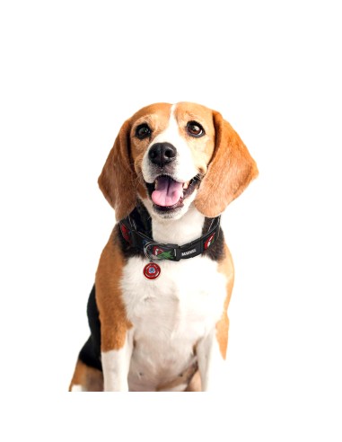 Collar Perro y gato de Marvel ajustable al cuello-2800000218
